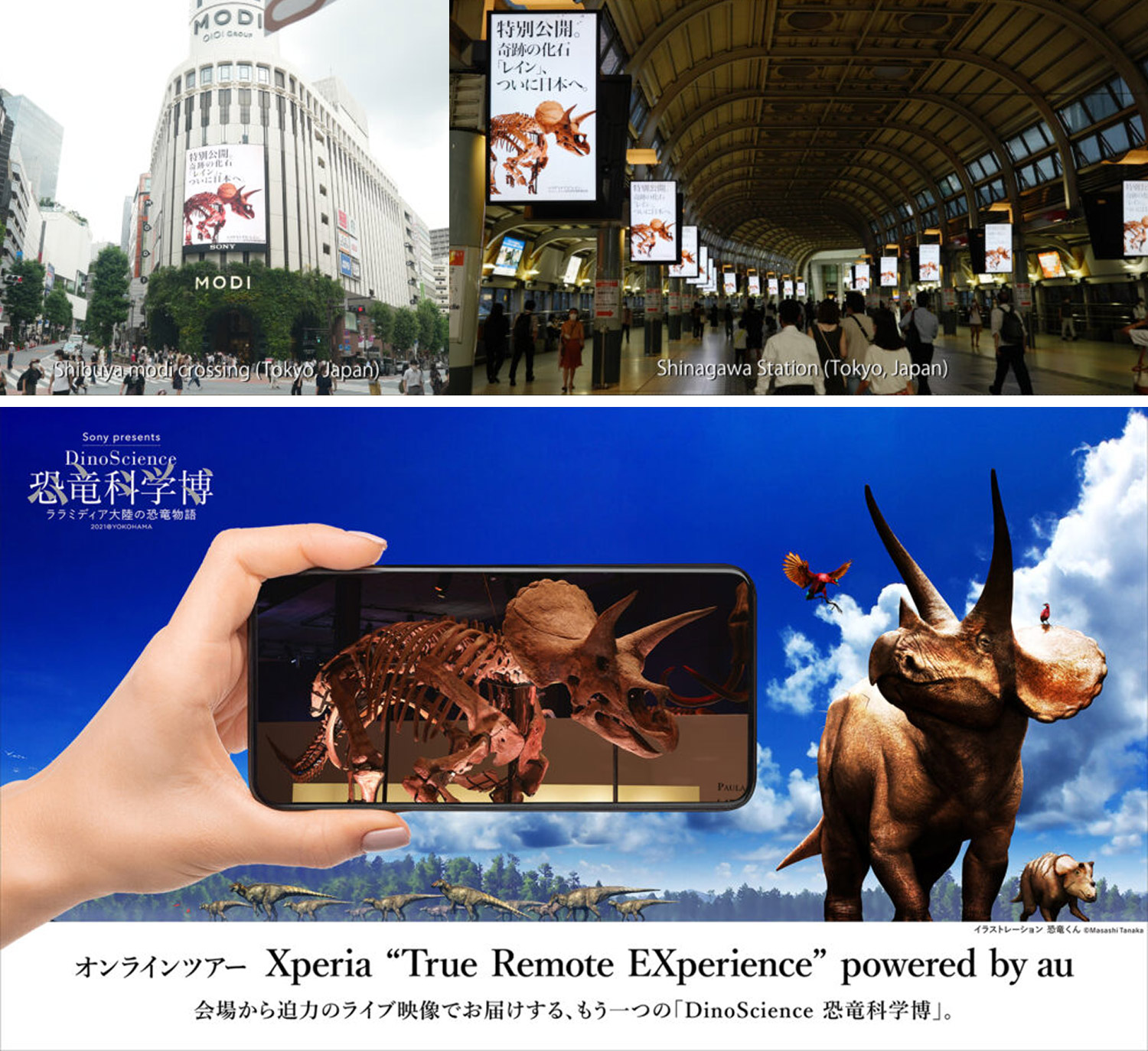 Xperia