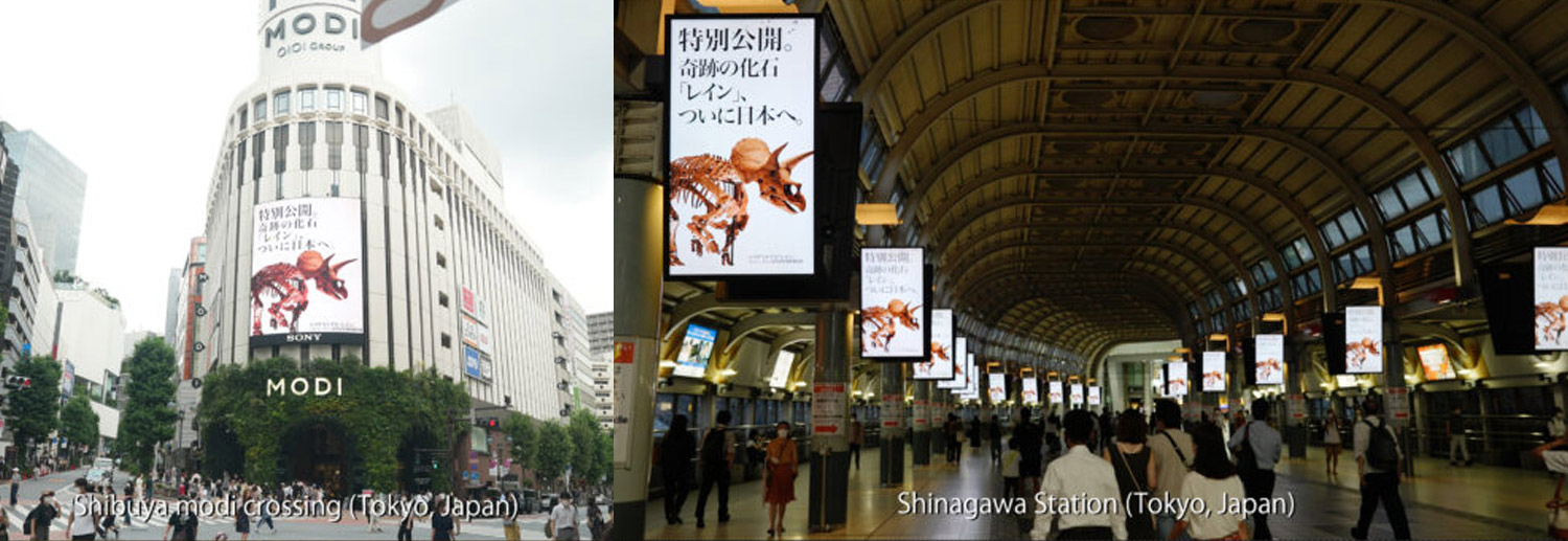 digital_signage