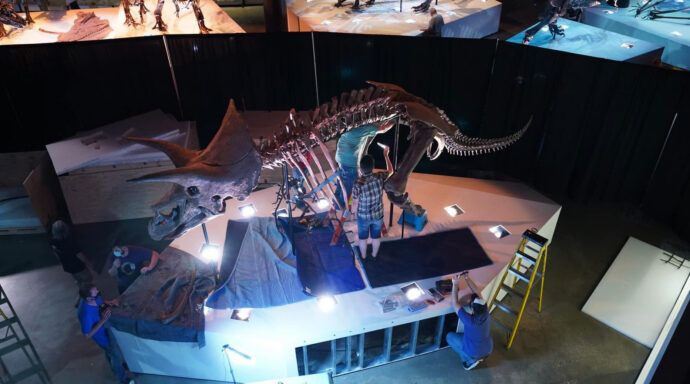 テキサス州ヒューストンでの映像制作・撮影