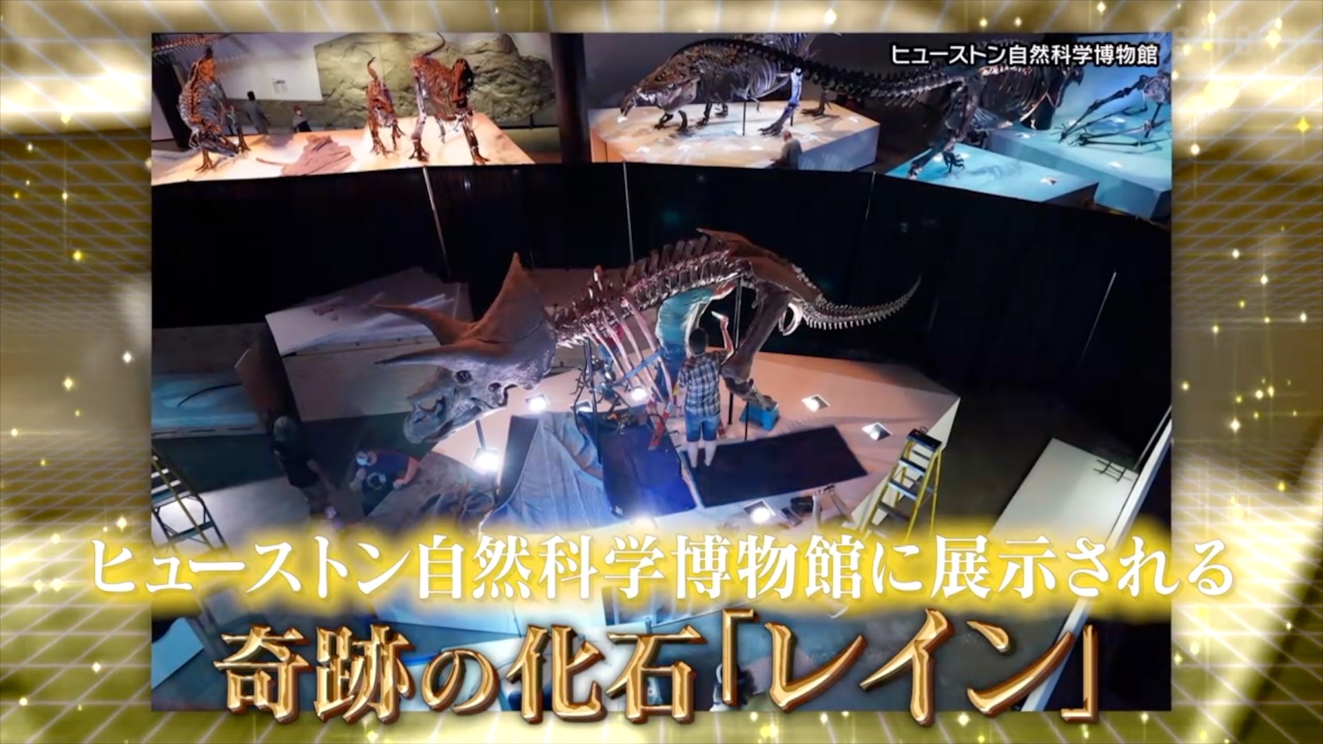 ヒューストン　動画撮影・映像制作